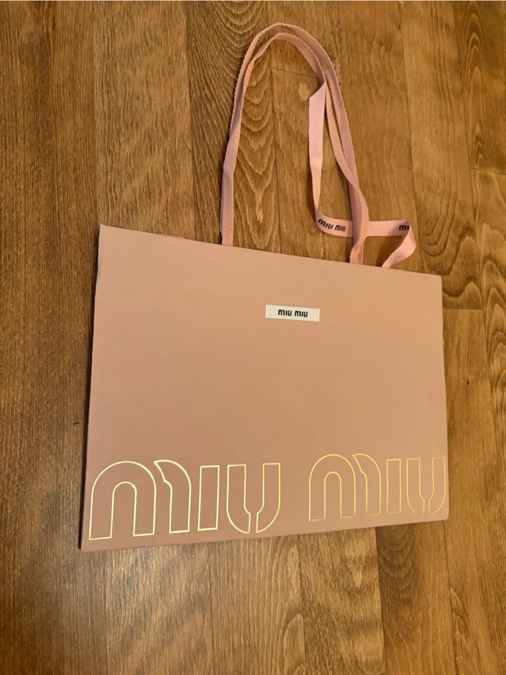 Miu Miu Blush Pink Paper Shopping Bag with Logo Print and Miu Miu Ribbon Italy